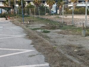 Acera en Mil Palmeras