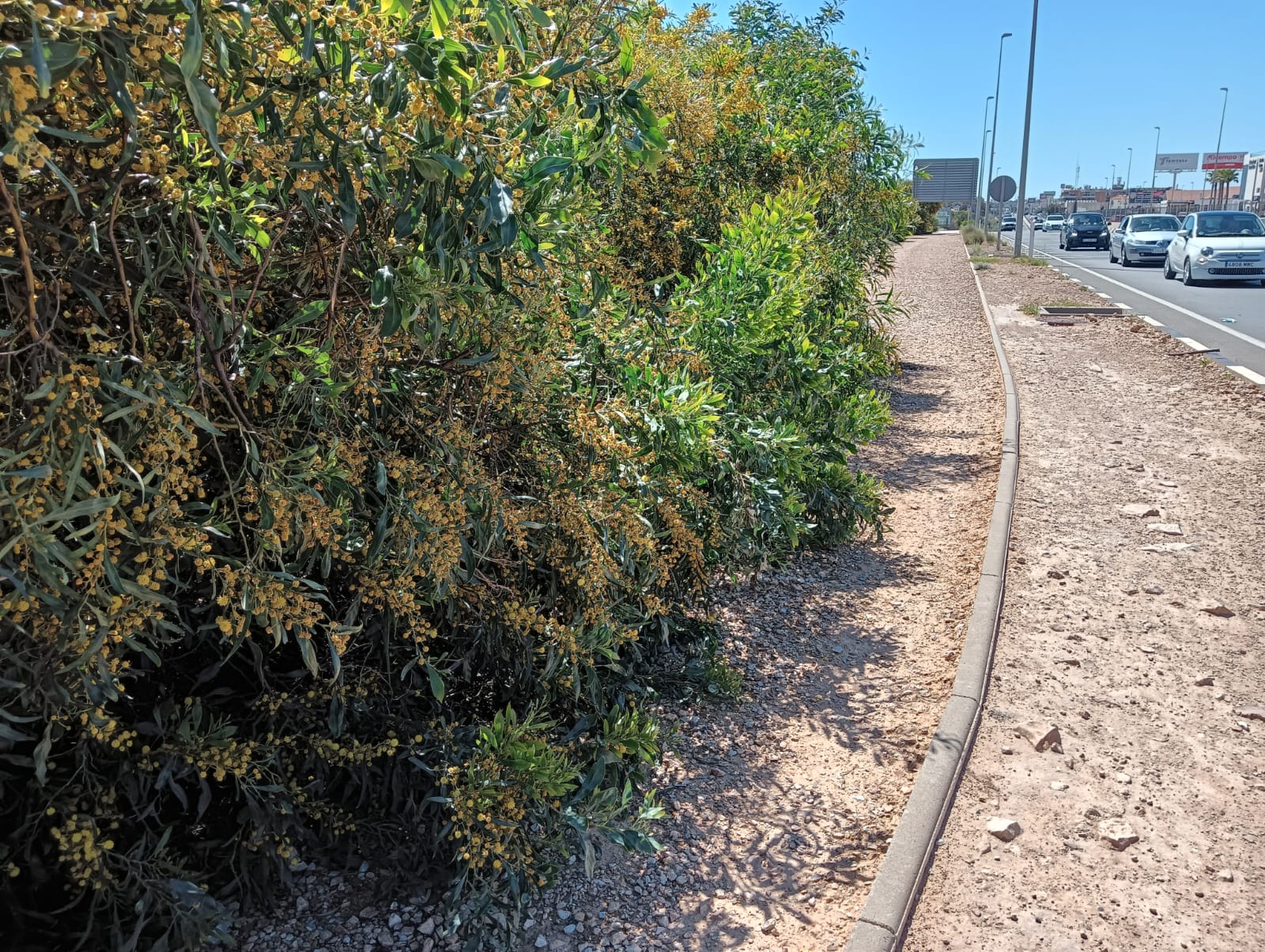 Carril bici en la N-332 - Cala Mosca