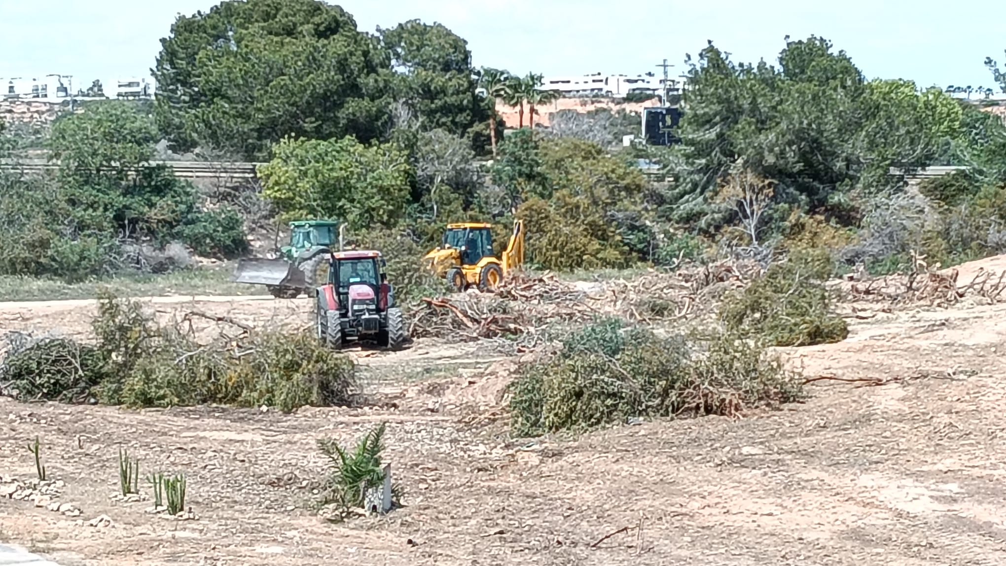 Los tractores arrasan con una parte de la rambla del Rio Nacimiento