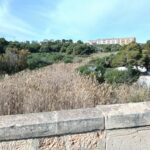 Vecinos de Orihuela Costa avisaron al alcalde del peligro de incendio en las ramblas – Residents of Orihuela Costa warned the mayor of the danger of fire in the ramblas